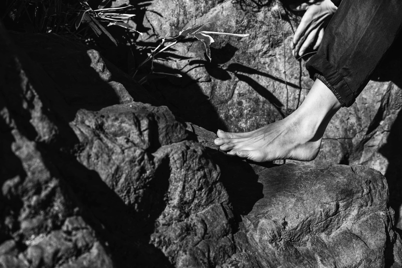 舞踏グループ 鳰（Nio）