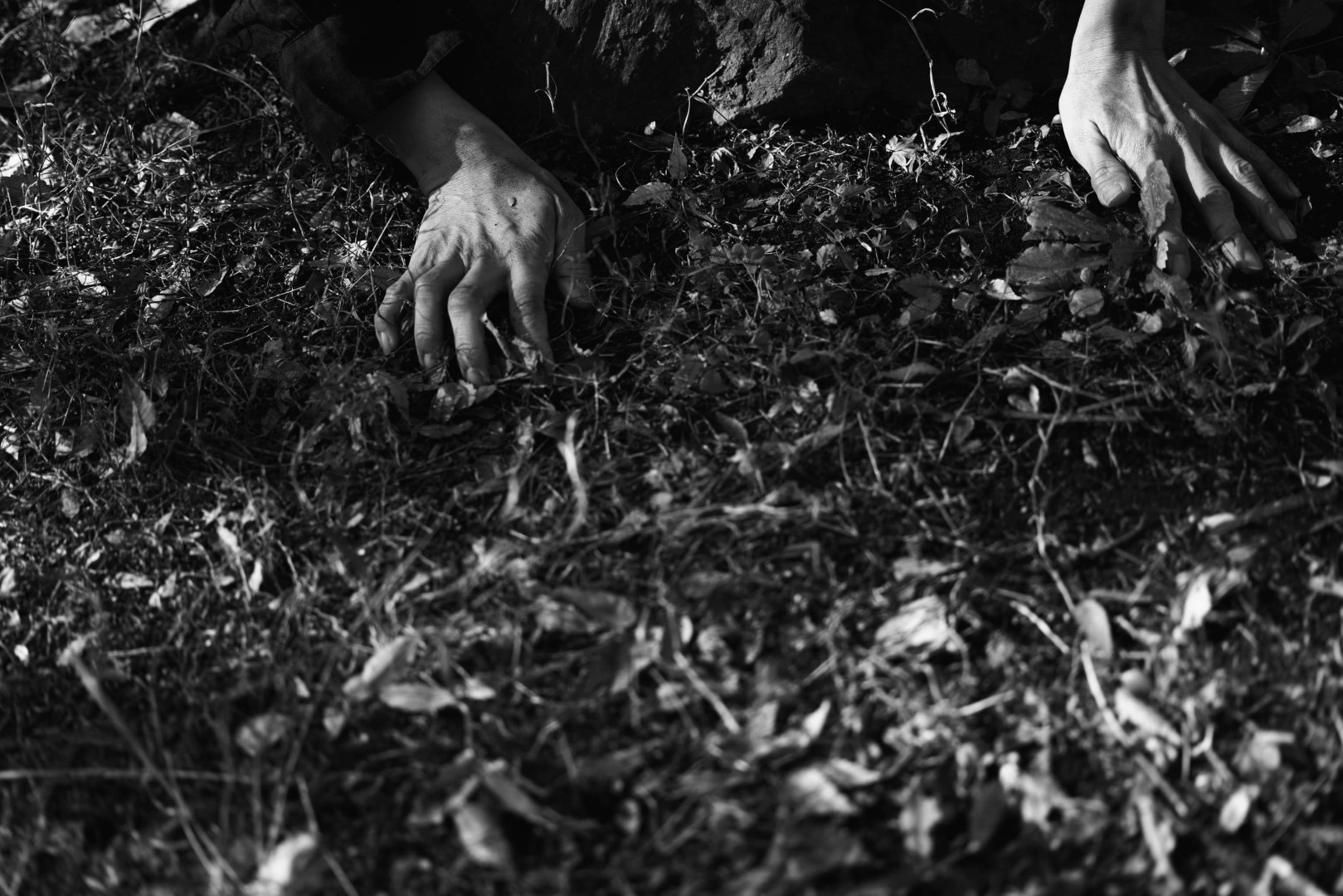 舞踏グループ 鳰（Nio）