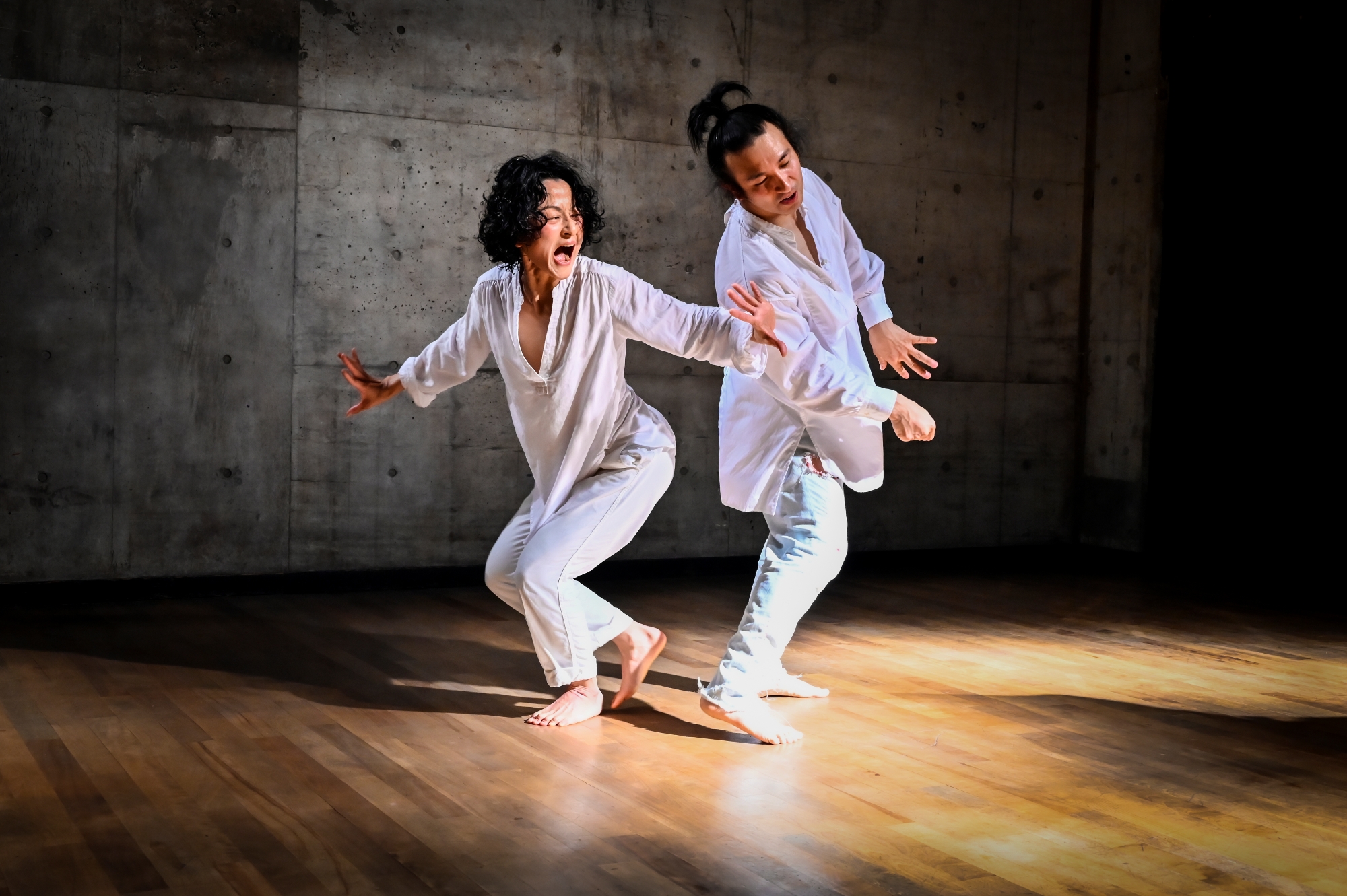 ウォークスプロジェクト